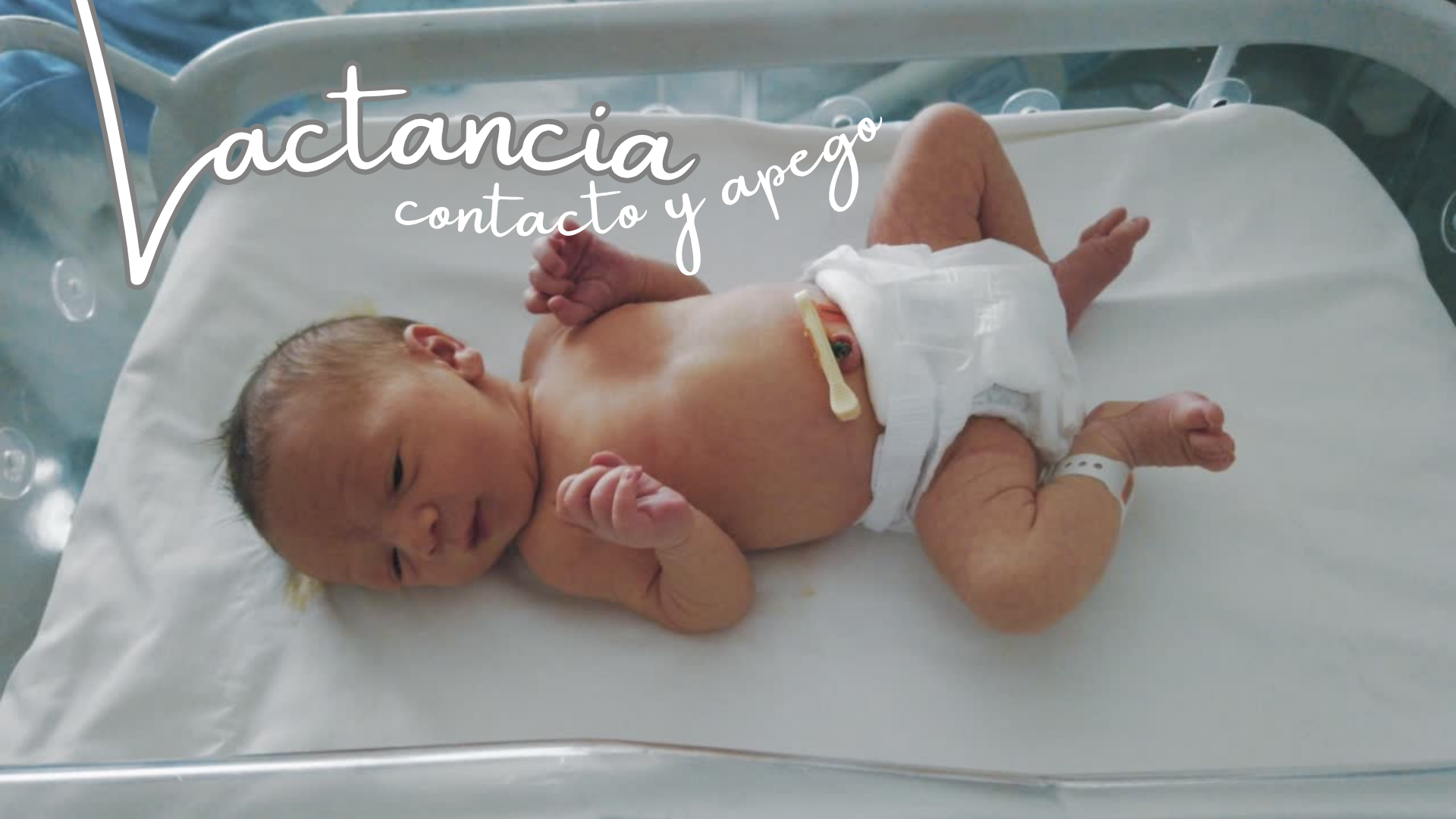 Apoyo en Posparto y Lactancia